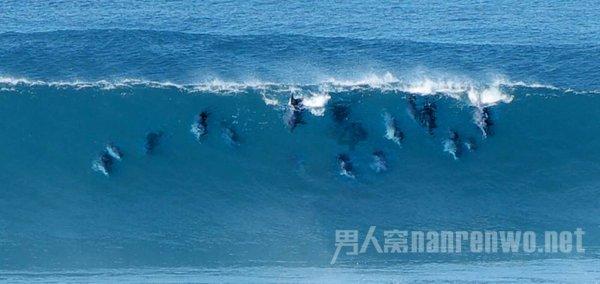 嘉日单词